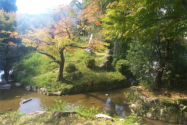 舞鶴城田辺城心種園の紅葉風景