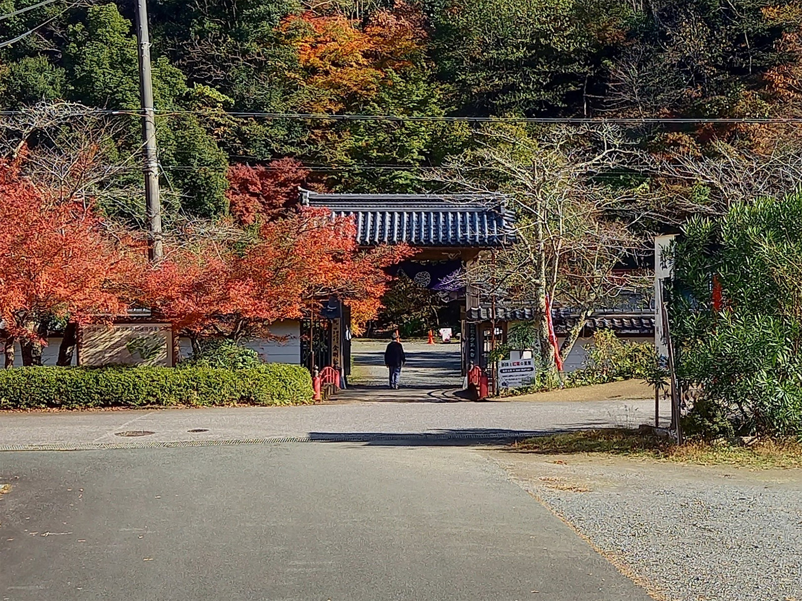 舞鶴・金剛院の紅葉と山門